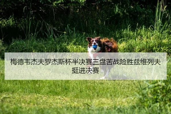 mei-de-wei-jie-fu-luo-jie-si-bei-ban-jue-sai-san-pan-ku-zhan-xian-sheng-zi-wei-lie-fu-ting-jin-jue-sai-2-705.jpg