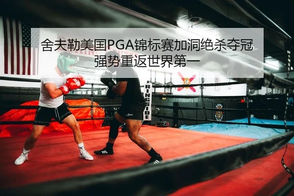 she-fu-lei-mei-guo-jin-biao-sai-jia-dong-jue-sha-duo-guan-qiang-shi-chong-fan-shi-jie-di-yi-2-513.jpg